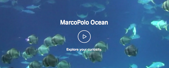 Die App MarcoPolo Ozean bringt Kindern alles über das Meer bei.